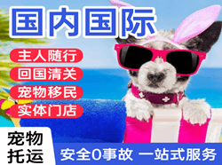 包头东河机场物流国际宠物托运 【国